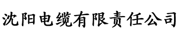 成R抖阴app电缆厂logo